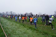 DSC00528 DSC00528